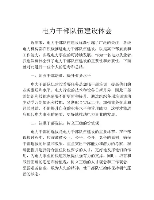 电力干部队伍建设体会