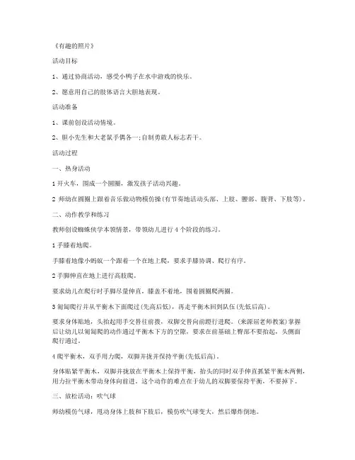 【总结教案】-学前班美术优秀说课稿及反思 第5课《有趣的照片》练习教案