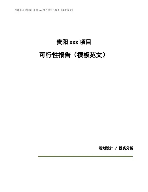 贵阳投资项目可行性报告(模板范文)