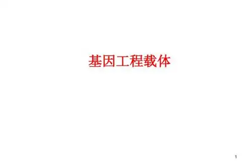 3、载体