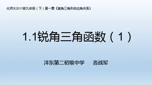 数学九年级北师大版 1 锐角三角函数(1) (共19张PPT)