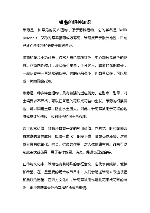 雏菊的相关知识