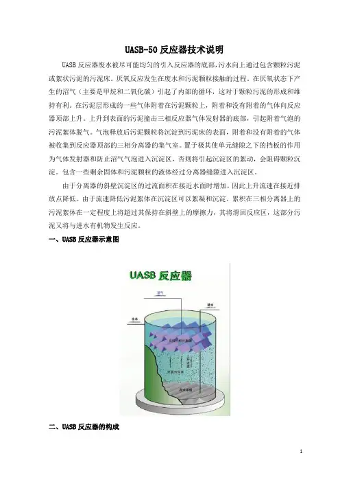 UASB反应器和自动加药装置技术说明