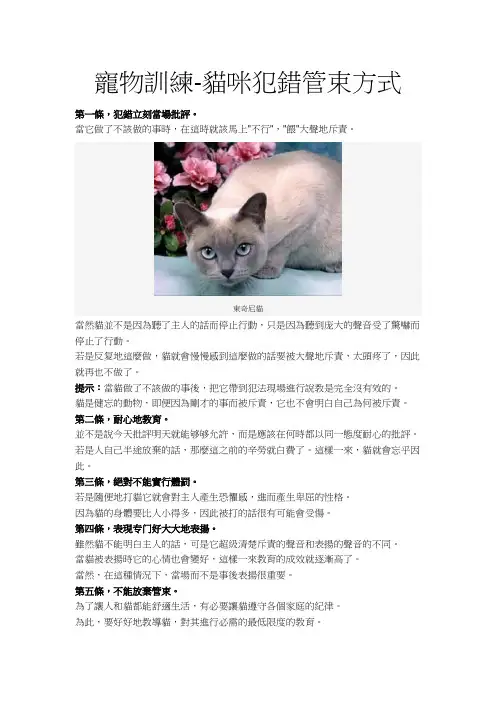 宠物训练猫咪犯错管束方式
