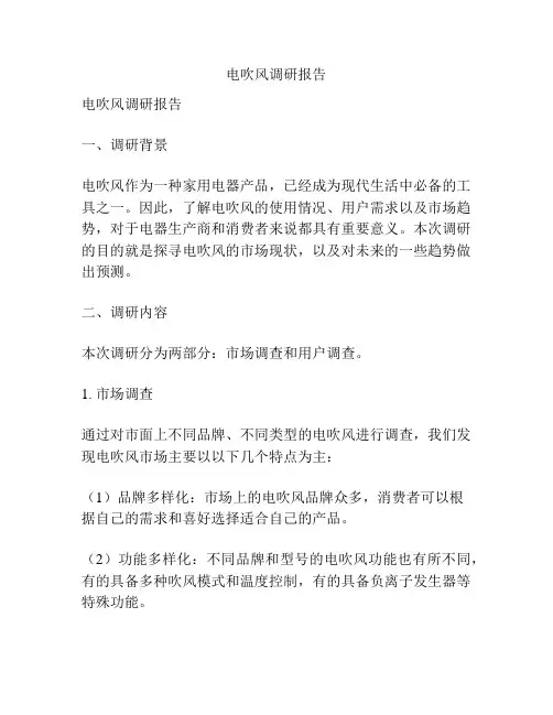 电吹风调研报告