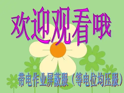 新一代带电作业“专家”等电位均压服9带电作业屏蔽服适用范围-试验标准