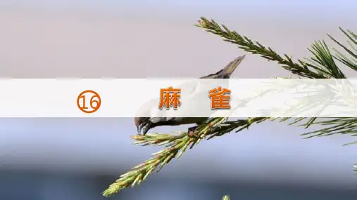 部编版四年级上册语文《麻雀》PPT优秀课件