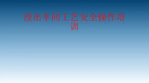 浸出车间工艺安全培训课件
