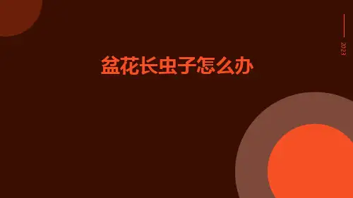 盆花长虫子怎么办