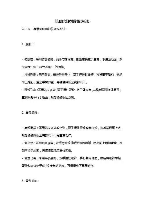 肌肉部位锻炼方法
