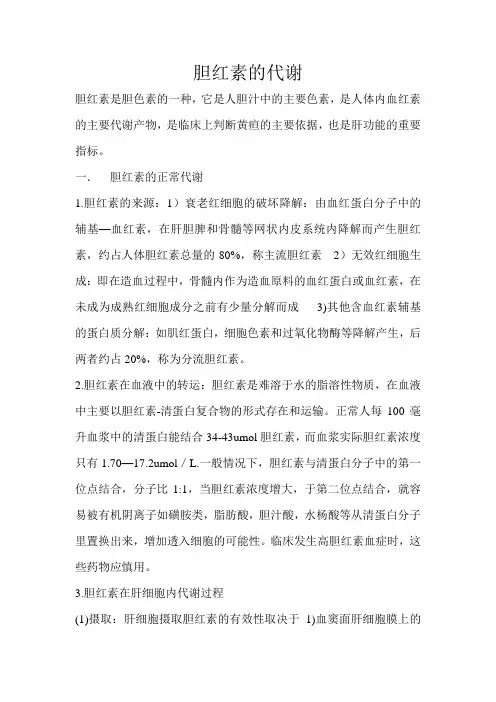 胆红素的代谢