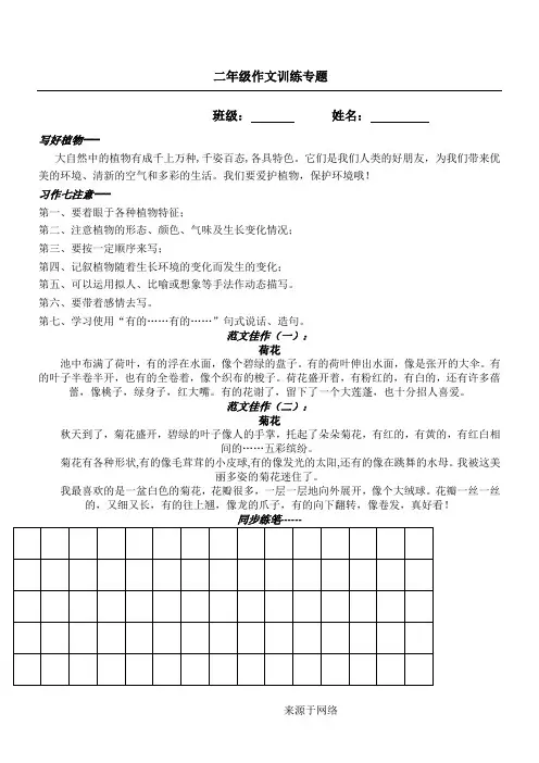 二年级作文训练专题