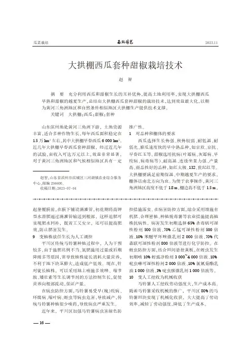 大拱棚西瓜套种甜椒栽培技术