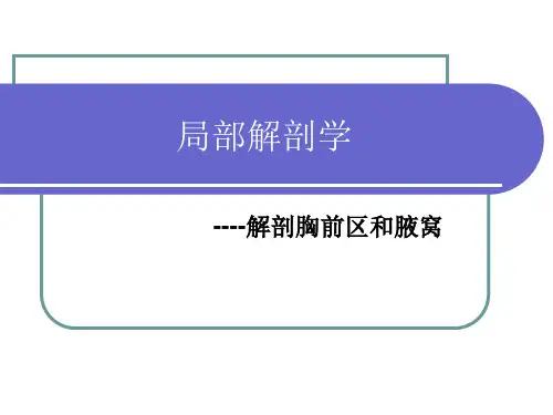 局部解剖操作