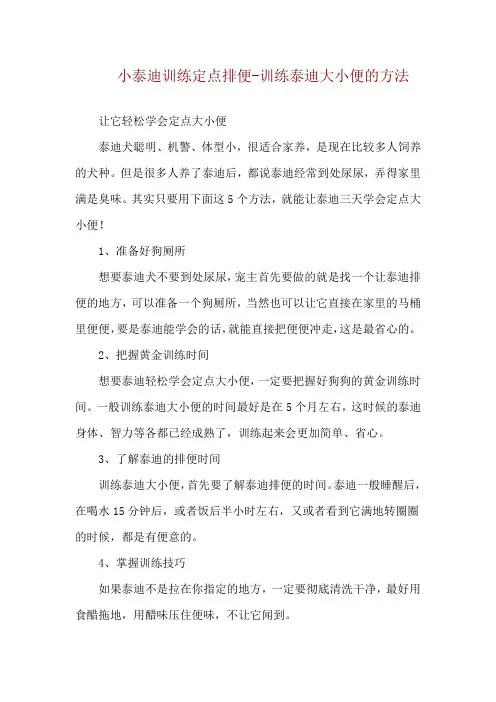 小泰迪训练定点排便-训练泰迪大小便的方法
