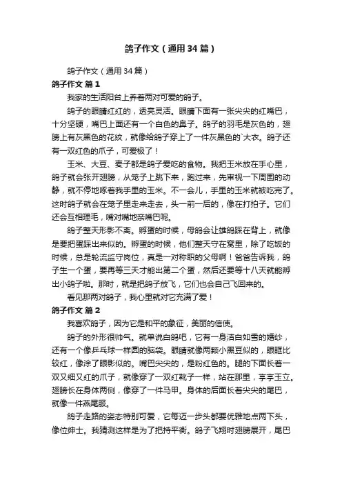 鸽子作文（通用34篇）