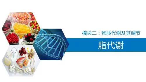脂代谢—甘油三酯的代谢(生物化学课件)