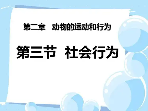 社会行为课件34张(人教版生物)