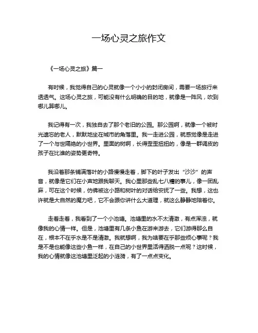 一场心灵之旅作文