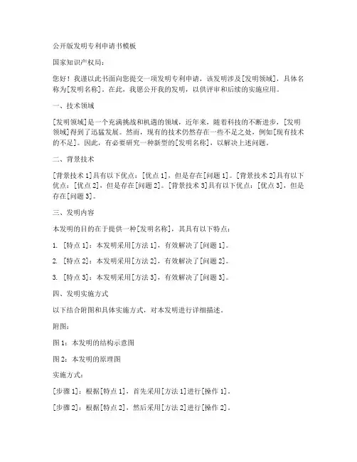 公开版发明专利申请书模板