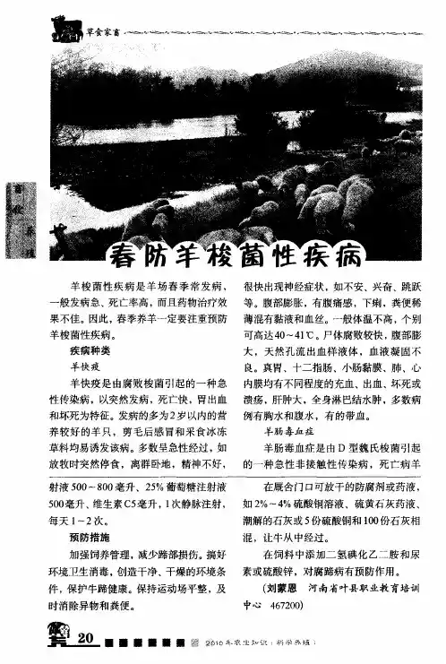 春防羊梭菌性疾病