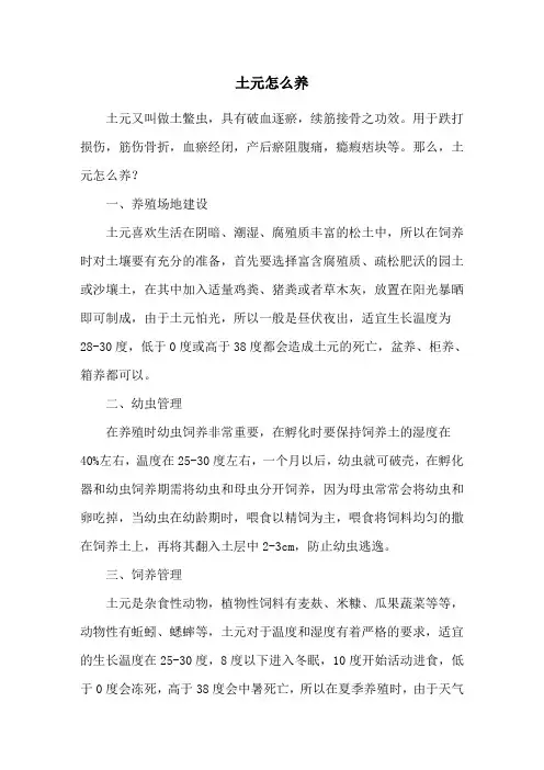 土元怎么养