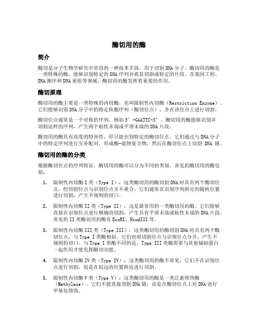 酶切用的酶
