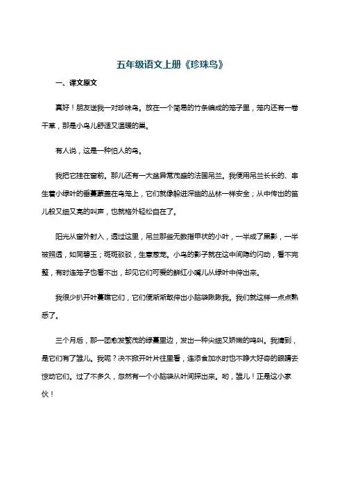 五年级语文上册《珍珠鸟》