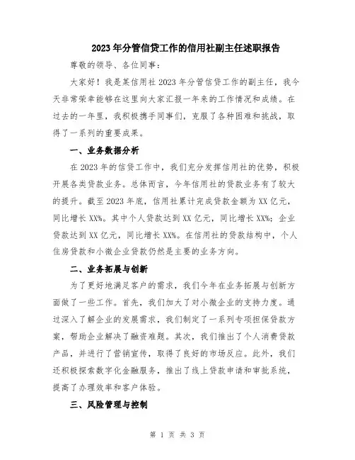 2023年分管信贷工作的信用社副主任述职报告