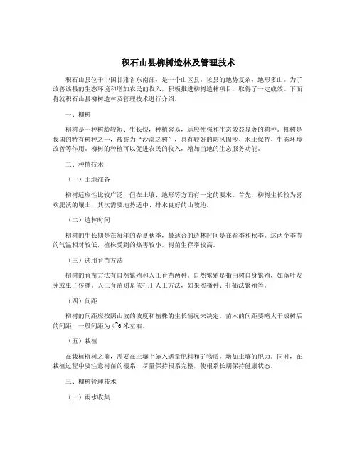 积石山县柳树造林及管理技术