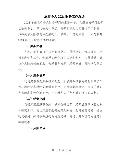 农行个人2024财务工作总结