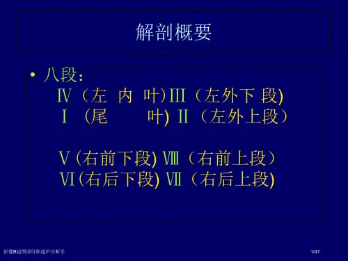 影像B超图谱肝胆超声诊断学