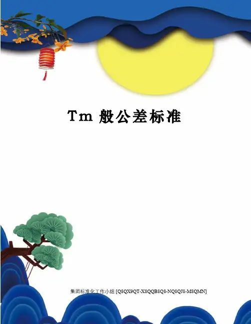 Tm般公差标准