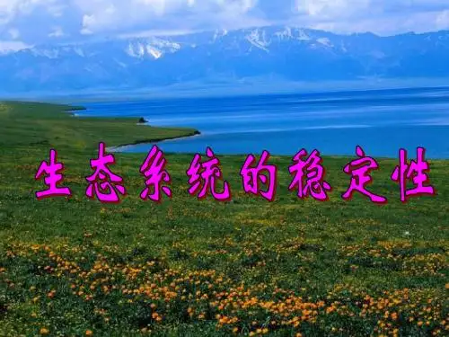 5.5  生态系统的稳定性