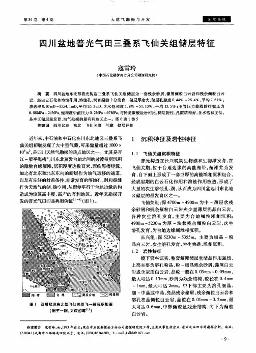 四川盆地普光气田三叠系飞仙关组储层特征