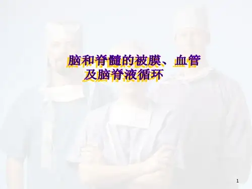 (医学课件)脑和脊髓的被膜