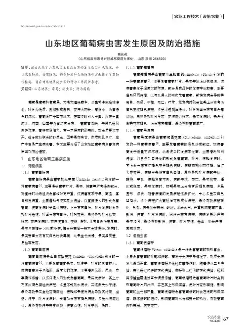 山东地区葡萄病虫害发生原因及防治措施