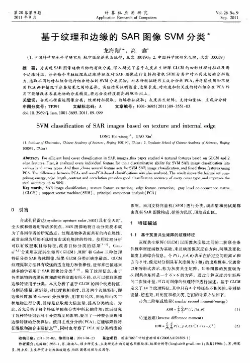 基于纹理和边缘的SAR图像SVM分类
