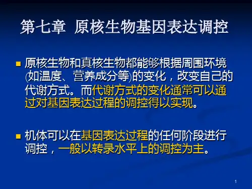 大学生物遗传学原核生物基因表达调控2PPT课件