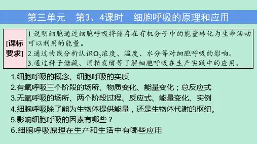 【课件】高三生物一轮复习课件第三单元 第3、4课时 细胞呼吸的原理和应用