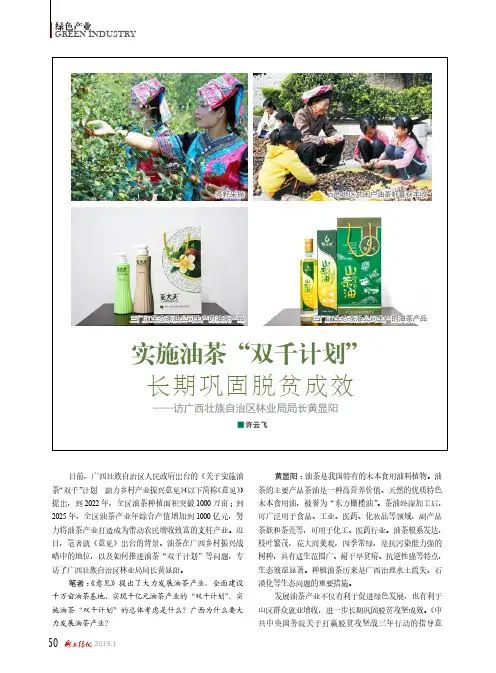 实施油茶“双千计划”长期巩固脱贫成效——访广西壮族自治区林业局局长黄显阳