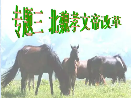 高中历史选修一3.1.2北魏孝文帝改革(修) 2