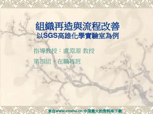 组织再造与流程改善(PPT62页)agd