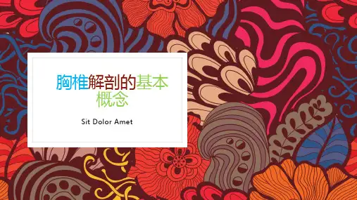 胸椎解剖的基本