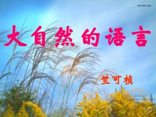 人教版语文八年级上册第16课《大自然的语言》ppt课件1