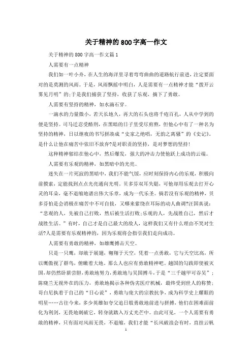 关于精神的800字高一作文