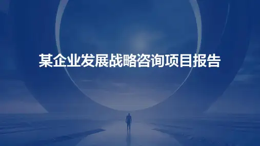 某企业发展战略咨询项目报告