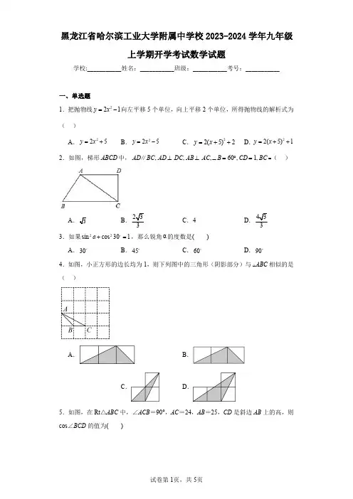 黑龙江省哈尔滨工业大学附属中学校2023-2024学年九年级上学期开学考试数学试题