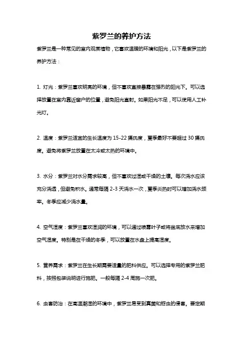 紫罗兰的养护方法
