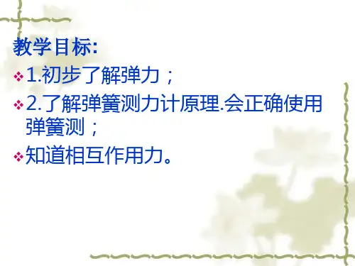 弹力力的测量课件培训讲学